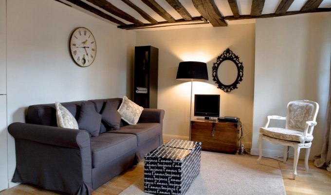 Paris Chatelet Louvre Apartment vacation rentals 10 mns walking from Le Louvre