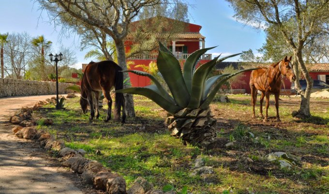 Villa to rent in Majorca private pool - Pina (Balearic Islands)