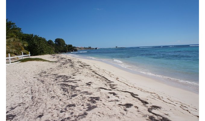 Guadeloupe beachfront luxury villa in Saint François with pool & staff