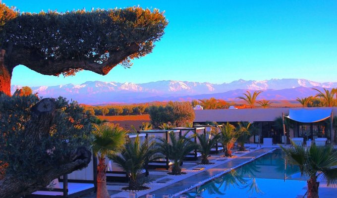 Pool of Luxury villa in Marrakech