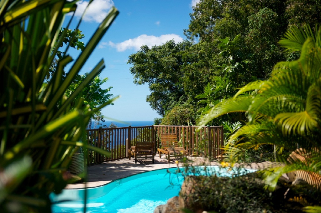 Location Bungalow In The Forest With Jacuzzi In Pointe Noire Guadeloupe For A Pleasant And Unforgettable Stay 4