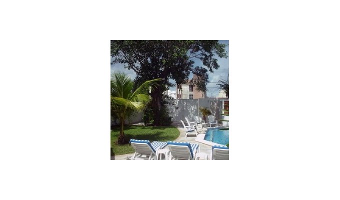 A view from the palapa covered patio toward the tropical shade tree