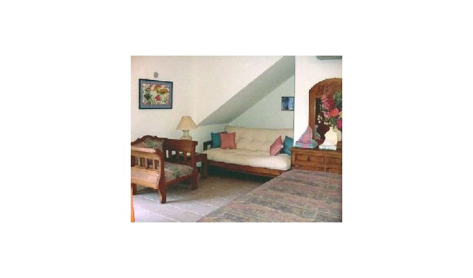 The downstairs front bedroom with a king bed and futon sofa