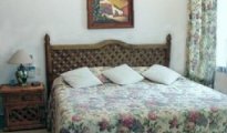 Cozumel photo #10