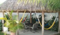 Cozumel photo #6
