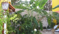 Merida photo #12