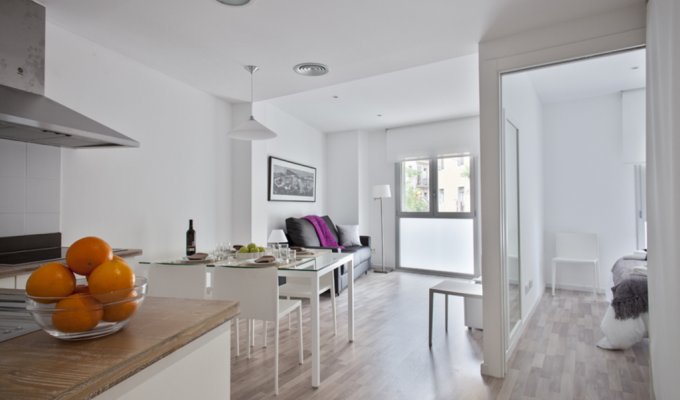 Apartment to rent in Barcelona Sants Riera Blanca