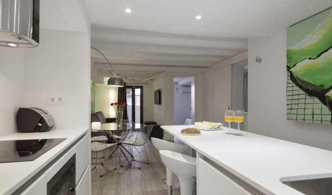 Apartment to rent in Barcelona Plaza España with terrace and wifi