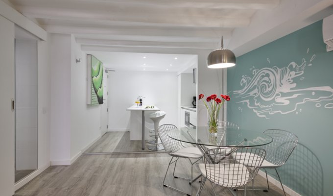 Apartment to rent in Barcelona Plaza España with terrace and wifi