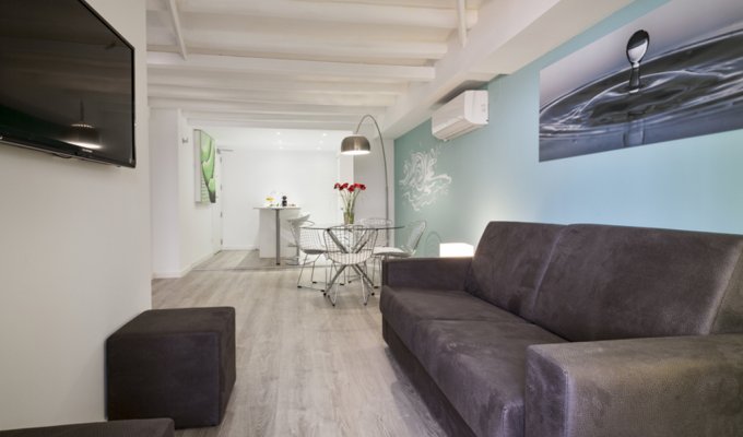 Apartment to rent in Barcelona Plaza España with terrace and wifi