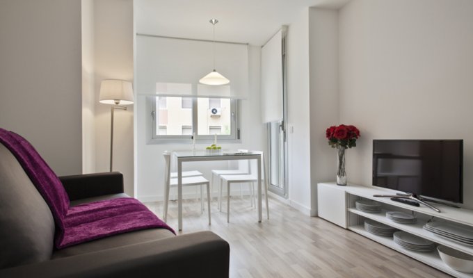 Apartment to rent in Barcelona Sants Riera Blanca