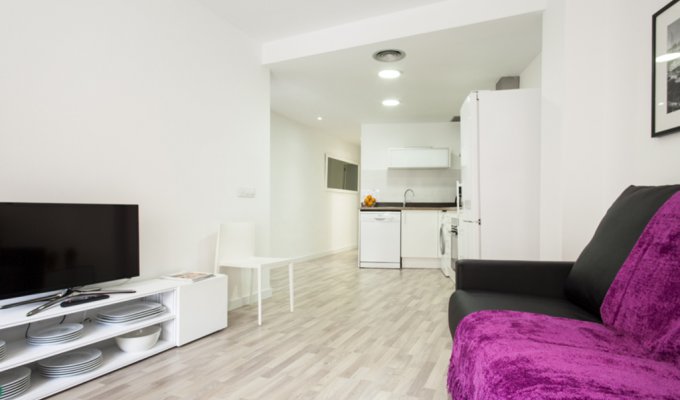 Apartment to rent in Barcelona Sants Riera Blanca