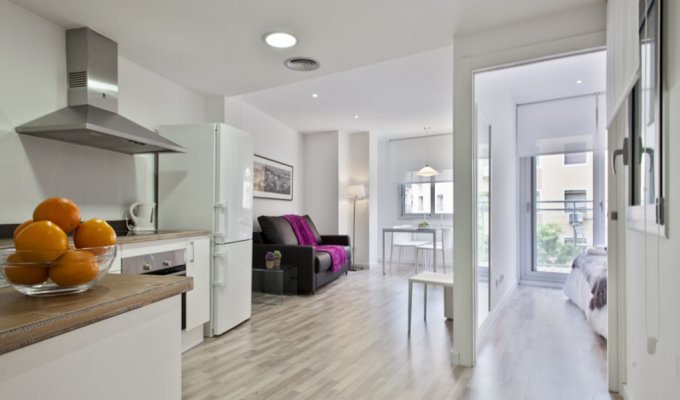 Apartment to rent in Barcelona Sants Riera Blanca