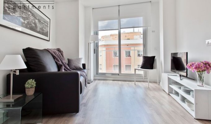 Apartment to rent in Barcelona Sants Riera Blanca