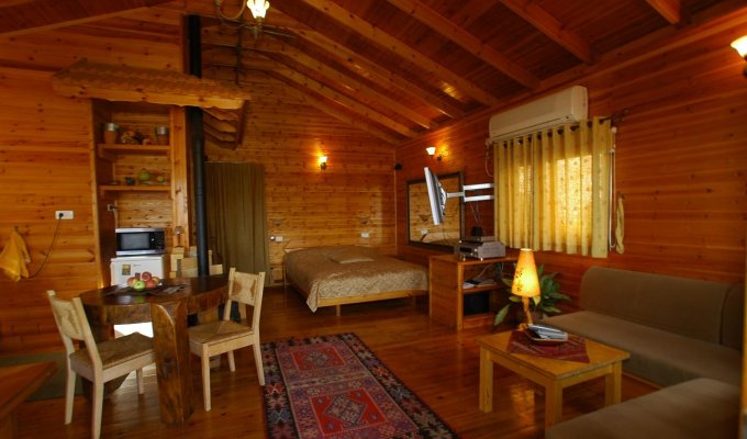 The Cabin