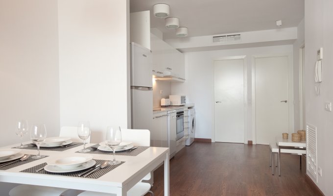  Apartment to rent in Barcelona Plaza España penthouse 2 bedrooms with private terrace 