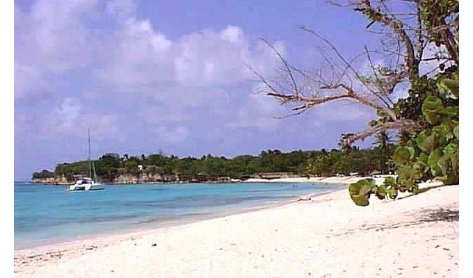 Aparthotel **** Pscine rental bungalows facing the sea town Deshaies Guadeloupe Basse Terre