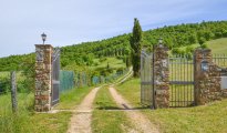 Lake Trasimeno photo #27