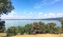 Lake Trasimeno photo #30