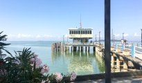 Lake Trasimeno photo #31