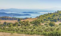 Lake Trasimeno photo #7