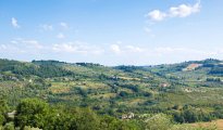 Florence Siena Country photo #27