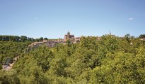 Capranica photo #22