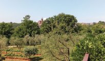 Capranica photo #9