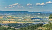 Lake Trasimeno photo #27