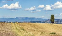 Lake Trasimeno photo #28