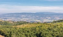 Lake Trasimeno photo #7