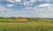 Lake Trasimeno photo #8