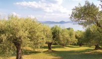 Lake Trasimeno photo #25