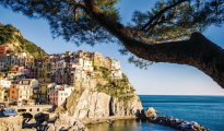 Cinque Terre photo #22