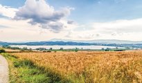 Lake Trasimeno photo #31