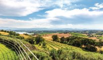 Lake Trasimeno photo #7