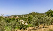 Spoleto photo #16