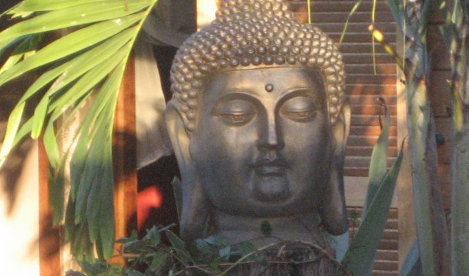 central terrace view of the Buddhas 