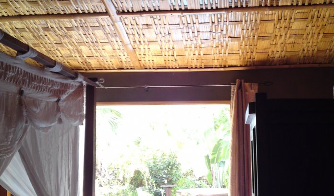  Bamboo Ceiling
