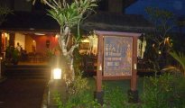 Ubud photo #11