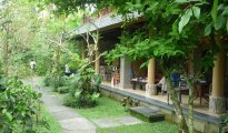 Ubud photo #13