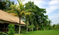 Ubud photo #2