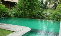 Ubud photo #4