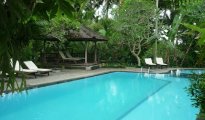 Ubud photo #5