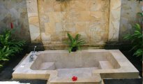 Ubud photo #9