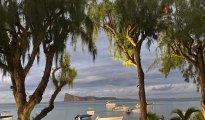 Grand Bay photo #2