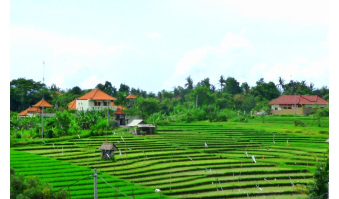 4 bedroom villa rentals, Kerobokan, Seminyak, Bali