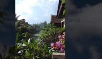 Ubud photo #7