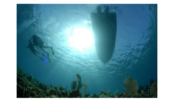 Scuba dive and snorkel in St. Martin / Sint Maarten with Octopus Diving, the world's first V.I.P. scuba and snorkel operation.