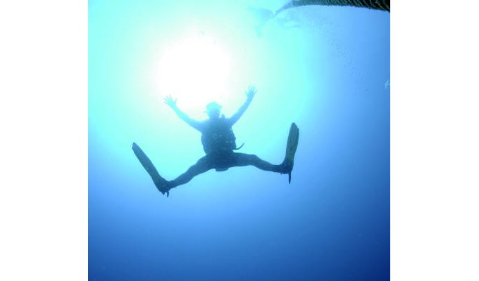 Scuba dive and snorkel in St. Martin / Sint Maarten with Octopus Diving, the world's first V.I.P. scuba and snorkel operation.